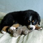 (2003-06-30)  Riia