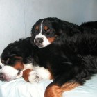 (2005-02-11)  Maia & Riia