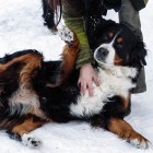 (2013-03-23)  Muru