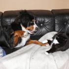 (2008-10-26)  Muru & Viiru (2)