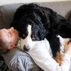 (2011-04-09)  Haliberni-Rhea