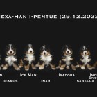 i2-pennut (01)