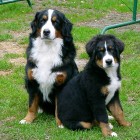 (2003-09-12)  Saga & Riia