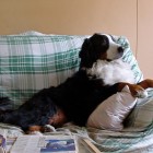 (2004-04-09)  Rono