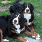 (2004-06-23)  Sara & Riia