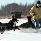 (2006-03-12)  Sara & Pax