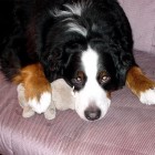 (2003-03-05)  Rono (1)